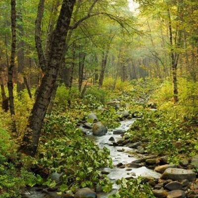 澳门风云电玩城安卓版特色